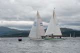 valhalla of ashton gbr2496 astrophel 276 whyw23 tue 800 3553